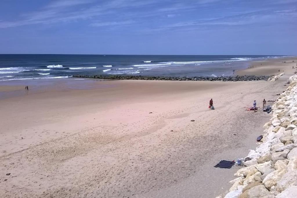 Appart' Dans Les Pins, Ocean, Lac, Piscine Lacanau Exteriér fotografie